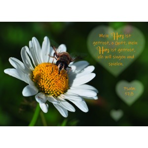 Postkarte - Herz - Psalm 57,8